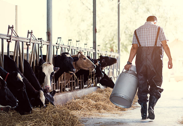 Pest control for farms and agriculture in Norfolk